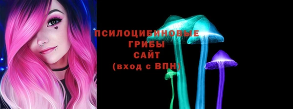 мяу мяу мука Арсеньев