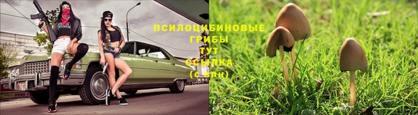 mdpv Аркадак
